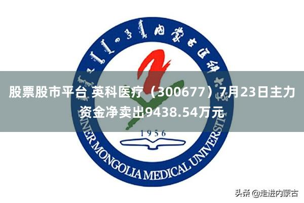 股票股市平台 英科医疗（300677）7月23日主力资金净卖出9438.54万元