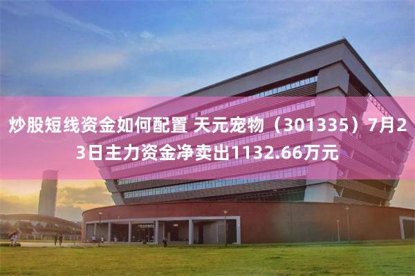 炒股短线资金如何配置 天元宠物（301335）7月23日主力资金净卖出1132.66万元