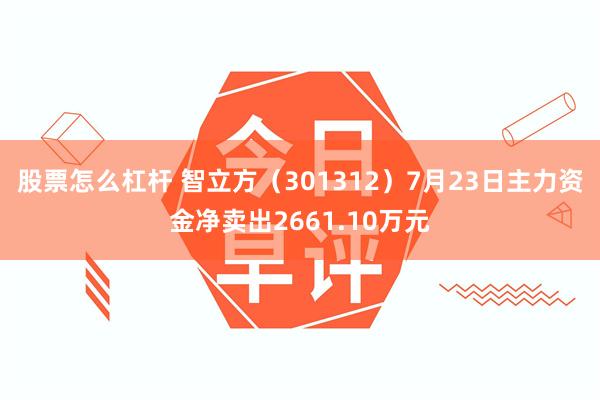 股票怎么杠杆 智立方（301312）7月23日主力资金净卖出2661.10万元