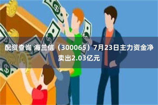 配资查询 海兰信（300065）7月23日主力资金净卖出2.03亿元