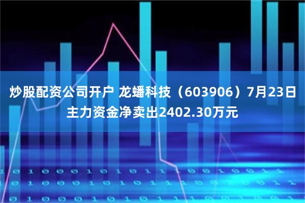 炒股配资公司开户 龙蟠科技（603906）7月23日主力资金净卖出2402.30万元