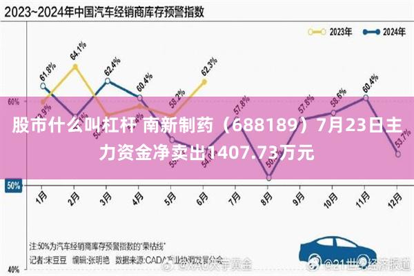 股市什么叫杠杆 南新制药（688189）7月23日主力资金净卖出1407.73万元