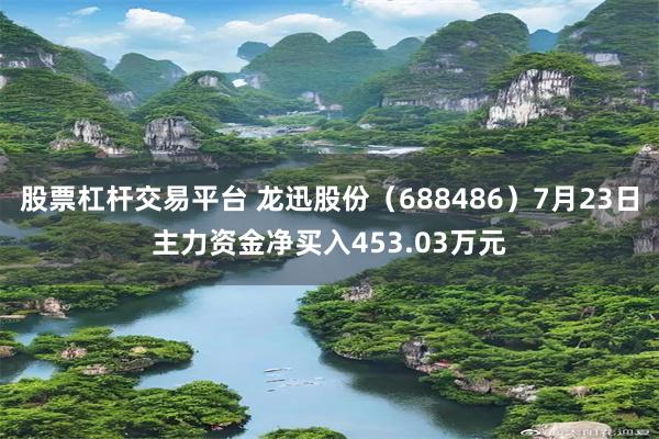 股票杠杆交易平台 龙迅股份（688486）7月23日主力资金净买入453.03万元