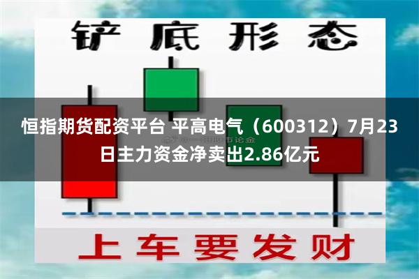 恒指期货配资平台 平高电气（600312）7月23日主力资金净卖出2.86亿元