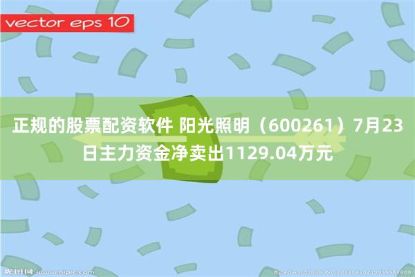 正规的股票配资软件 阳光照明（600261）7月23日主力资金净卖出1129.04万元