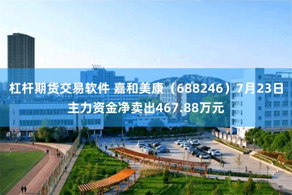 杠杆期货交易软件 嘉和美康（688246）7月23日主力资金净卖出467.88万元