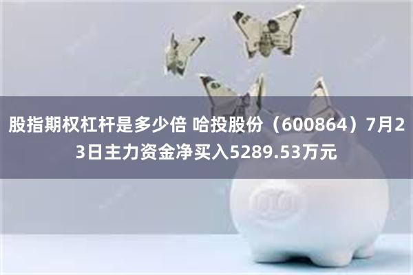 股指期权杠杆是多少倍 哈投股份（600864）7月23日主力资金净买入5289.53万元