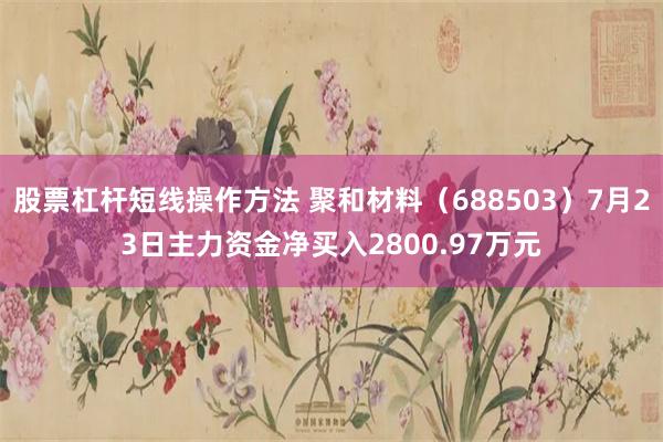 股票杠杆短线操作方法 聚和材料（688503）7月23日主力资金净买入2800.97万元