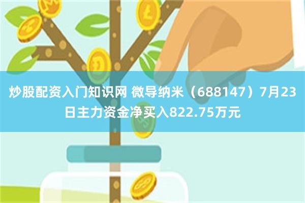 炒股配资入门知识网 微导纳米（688147）7月23日主力资金净买入822.75万元