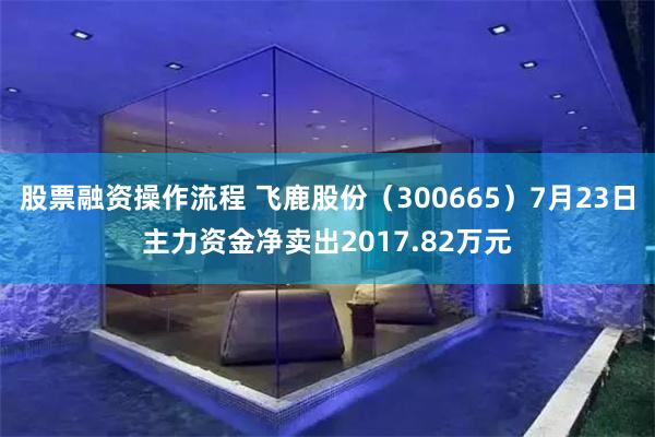 股票融资操作流程 飞鹿股份（300665）7月23日主力资金净卖出2017.82万元