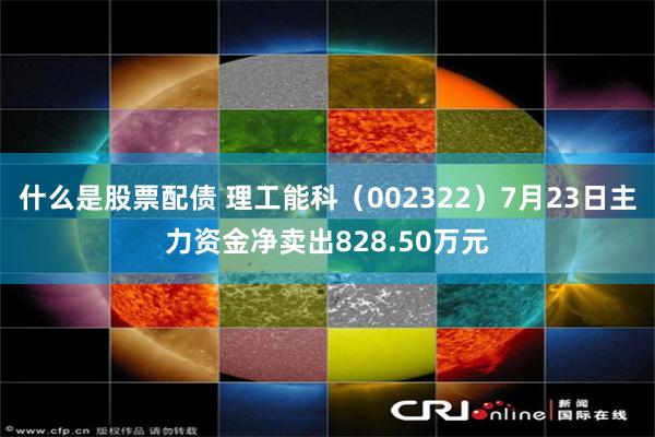 什么是股票配债 理工能科（002322）7月23日主力资金净卖出828.50万元