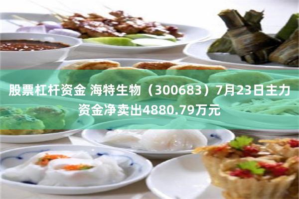 股票杠杆资金 海特生物（300683）7月23日主力资金净卖出4880.79万元