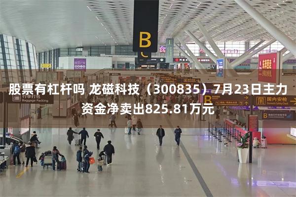 股票有杠杆吗 龙磁科技（300835）7月23日主力资金净卖出825.81万元