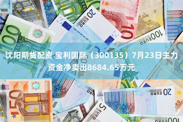 沈阳期货配资 宝利国际（300135）7月23日主力资金净卖出8684.65万元