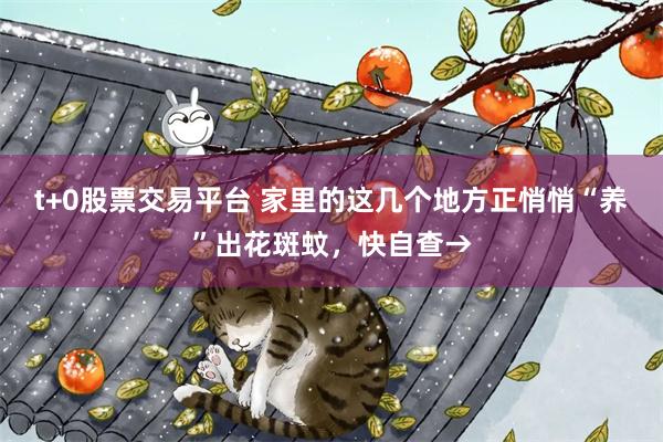 t+0股票交易平台 家里的这几个地方正悄悄“养”出花斑蚊，快自查→