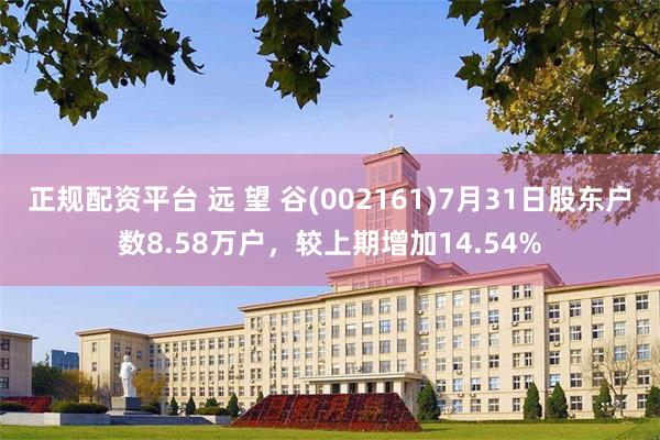 正规配资平台 远 望 谷(002161)7月31日股东户数8.58万户，较上期增加14.54%