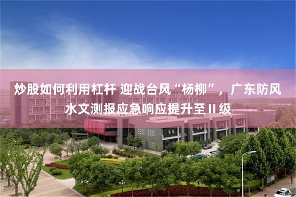 炒股如何利用杠杆 迎战台风“杨柳”，广东防风水文测报应急响应提升至Ⅱ级