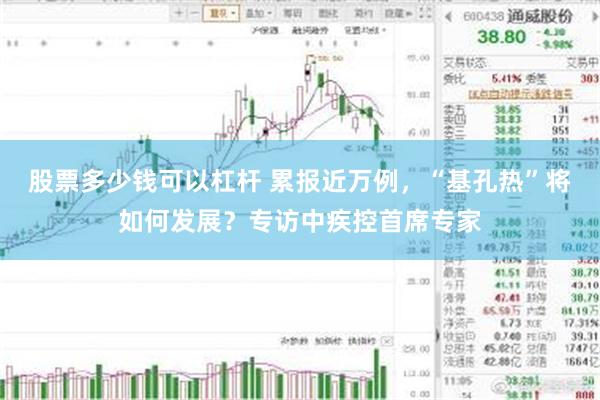 股票多少钱可以杠杆 累报近万例,“基孔热”将如何发展?专访中疾控首席专家