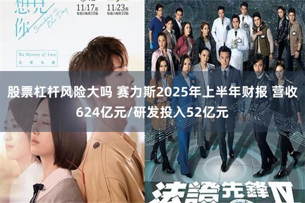 股票杠杆风险大吗 赛力斯2025年上半年财报 营收624亿元/研发投入52亿元