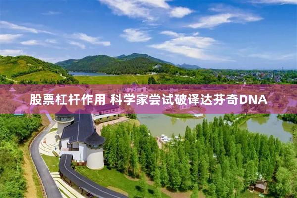 股票杠杆作用 科学家尝试破译达芬奇DNA