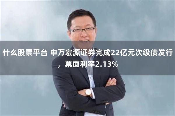 什么股票平台 申万宏源证券完成22亿元次级债发行，票面利率2.13%