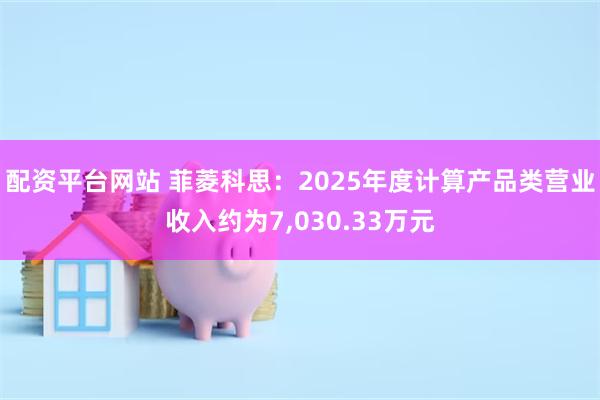 配资平台网站 菲菱科思：2025年度计算产品类营业收入约为7,030.33万元