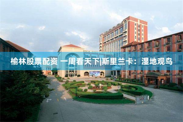 榆林股票配资 一周看天下|斯里兰卡：湿地观鸟