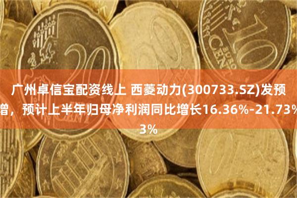 广州卓信宝配资线上 西菱动力(300733.SZ)发预增，预计上半年归母净利润同比增长16.36%-21.73%