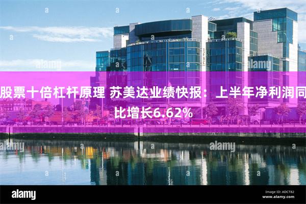 股票十倍杠杆原理 苏美达业绩快报:上半年净利润同比增长6.62%