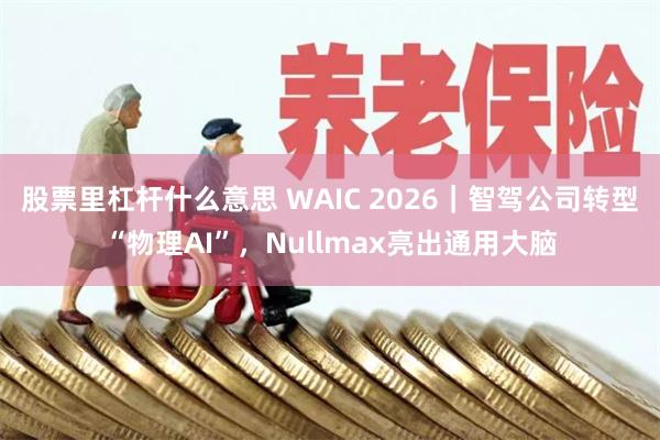 股票里杠杆什么意思 WAIC 2026｜智驾公司转型“物理AI”，Nullmax亮出通用大脑