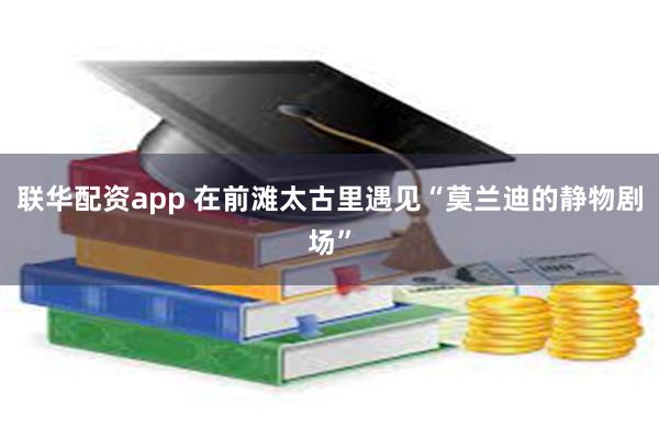联华配资app 在前滩太古里遇见“莫兰迪的静物剧场”