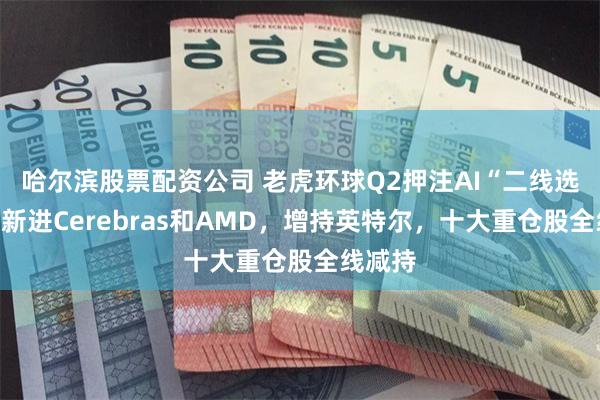 哈尔滨股票配资公司 老虎环球Q2押注AI“二线选手”：新进Cerebras和AMD，增持英特尔，十大重仓股全线减持