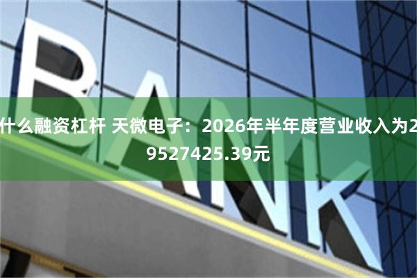 什么融资杠杆 天微电子：2026年半年度营业收入为29527425.39元