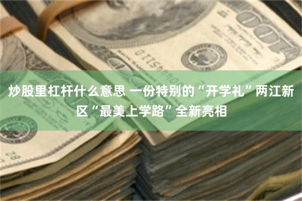 炒股里杠杆什么意思 一份特别的“开学礼”两江新区“最美上学路”全新亮相