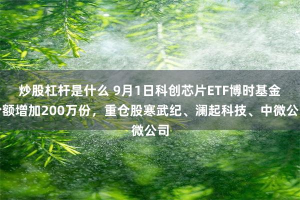 炒股杠杆是什么 9月1日科创芯片ETF博时基金份额增加200万份，重仓股寒武纪、澜起科技、中微公司
