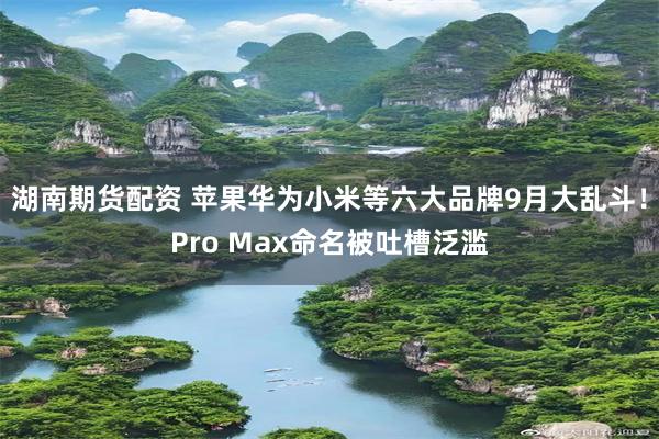 湖南期货配资 苹果华为小米等六大品牌9月大乱斗!Pro Max命名被吐槽泛滥