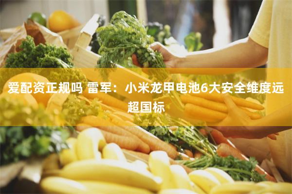 爱配资正规吗 雷军：小米龙甲电池6大安全维度远超国标