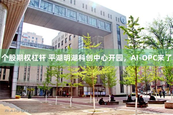 个股期权杠杆 平湖明湖科创中心开园，AI-OPC来了