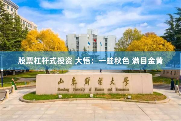 股票杠杆式投资 大悟：一畦秋色 满目金黄