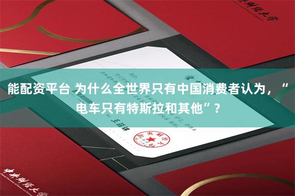 能配资平台 为什么全世界只有中国消费者认为，“电车只有特斯拉和其他”？