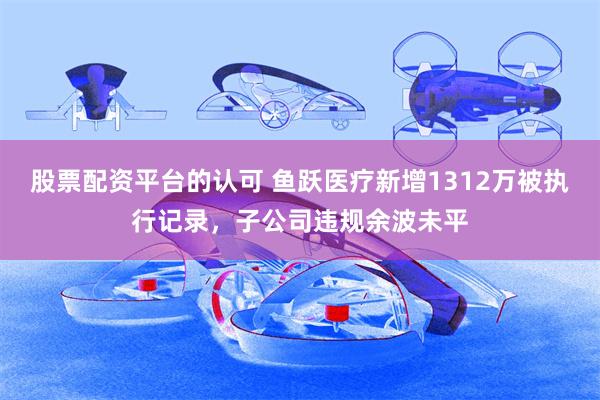 股票配资平台的认可 鱼跃医疗新增1312万被执行记录，子公司违规余波未平