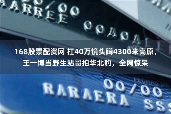 168股票配资网 扛40万镜头蹲4300米高原,王一博当野生站哥拍华北豹,全网惊呆
