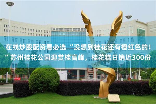 在线炒股配资看必选 “没想到桂花还有橙红色的！”苏州桂花公园迎赏桂高峰，桂花糕日销近300份